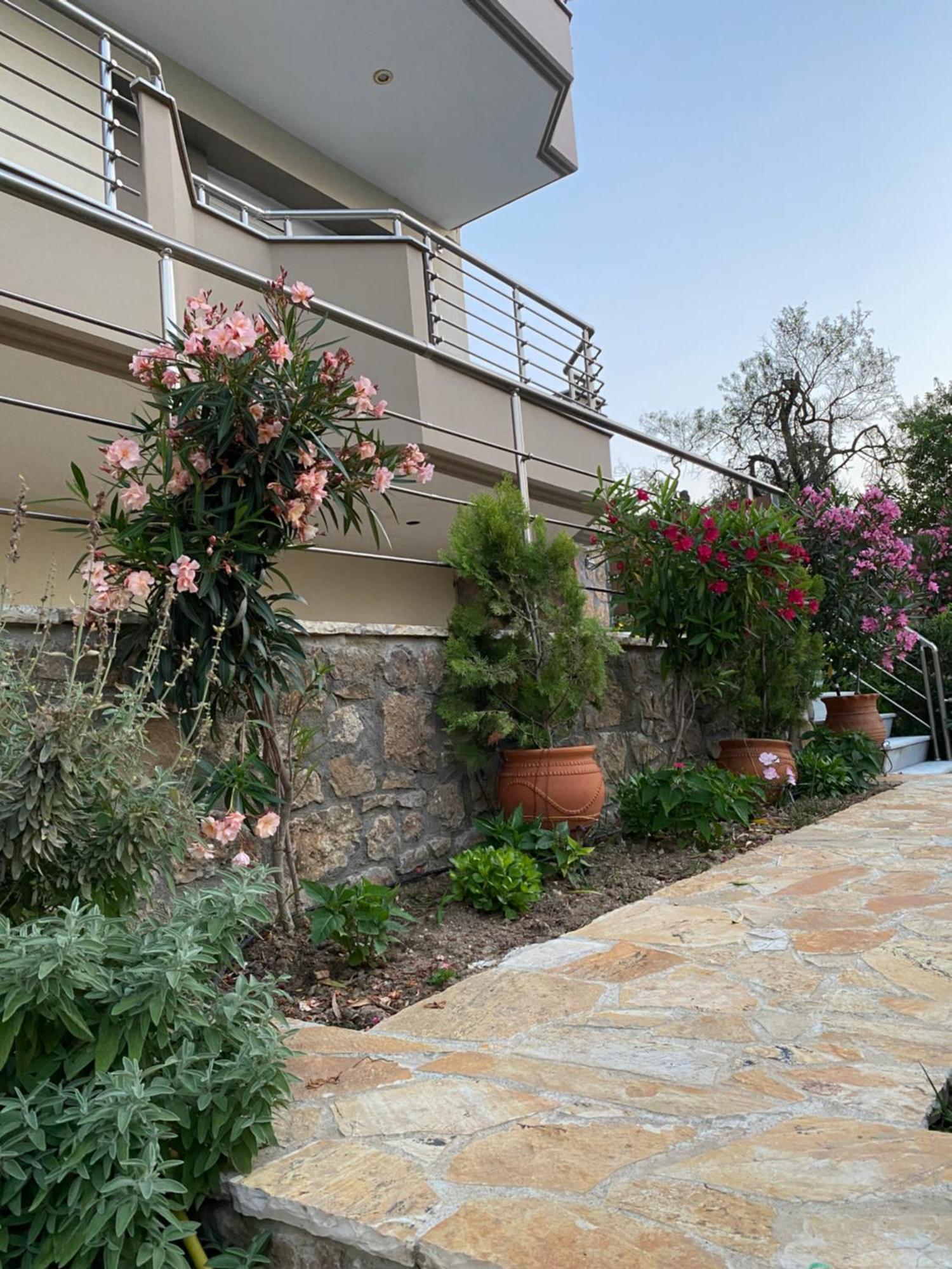 Efi'S Apartment نيا ميشانيونا المظهر الخارجي الصورة